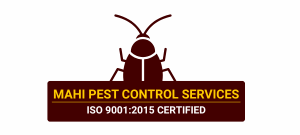 Mahi Pest Control | Pest Control Services in Thane & Mumbai