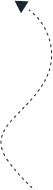 demo-attachment-278-Group-39466-1